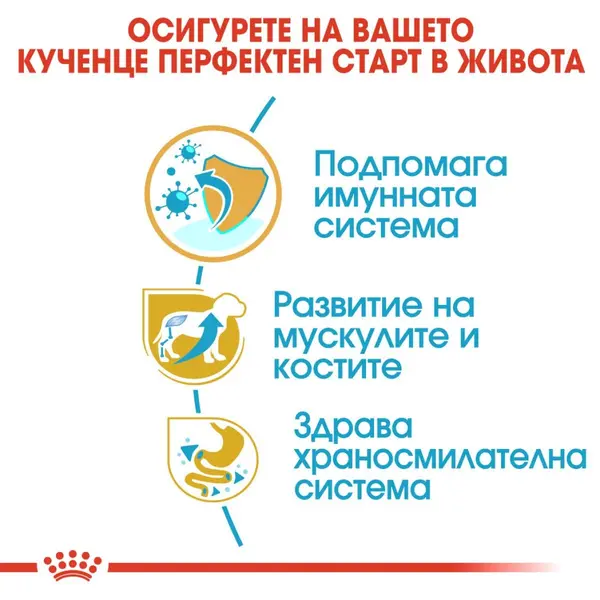 Royal Canin Rottweiller Puppy - за подрастващи кучета порода ротвайлер на възраст от 2 до 18 месеца  - 3 кг