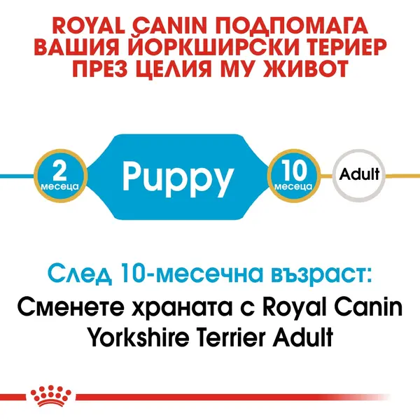 Royal Canin Yorkshire Puppy - за подрастващи кучета порода йоркширски териер на възраст от 2 до 10 месеца