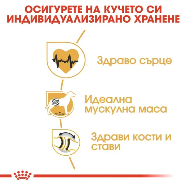 Royal Canin Rottweiller Adult - за кучета порода ротвайлер на възраст над 18 месеца - 12 кг