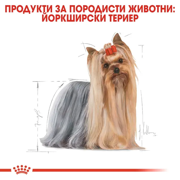 Royal Canin Yorkshire Terrier Adult - за кучета порода йоркширски териер на възраст над 10 месеца