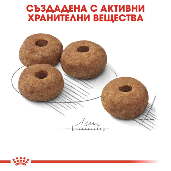 ROYAL CANIN MEDIUM STERILISED - суха храна за кастрирани кучета от средни породи над 12 месеца - 12 кг