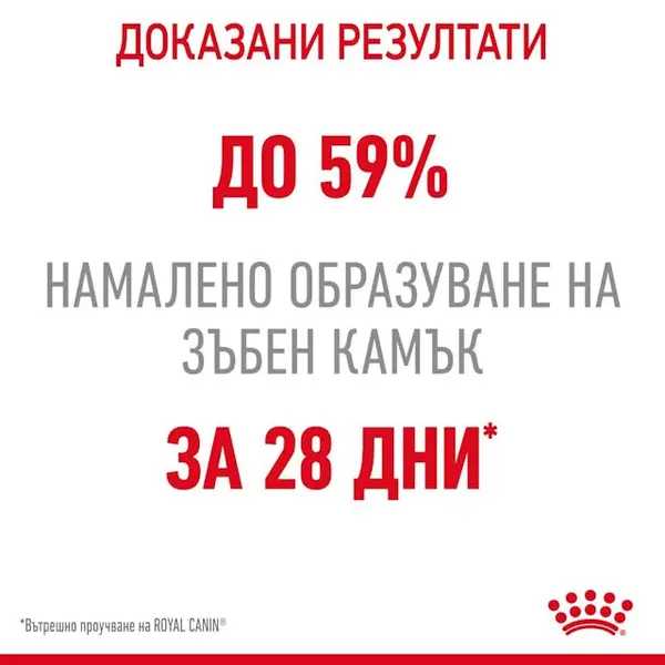 Royal Canin Dental Care - суха храна за котки за оптимална устна и зъбна хигиена