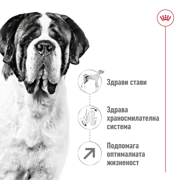 Royal Canin Giant Adult -  Пълноценна храна за кучета  в зряла възраст от гигантски породи (над 45 кг) - над 18/24 месеца - 15 кг.