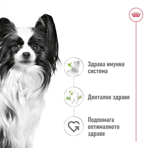 Royal Canin X-Small Adult - Пълноценна храна за кучета в зряла възраст от много дребни породи (тегло до 4 кг) - над 10 месеца