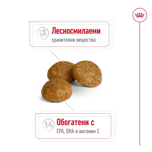Royal Canin X-Small Adult - Пълноценна храна за кучета в зряла възраст от много дребни породи (тегло до 4 кг) - над 10 месеца