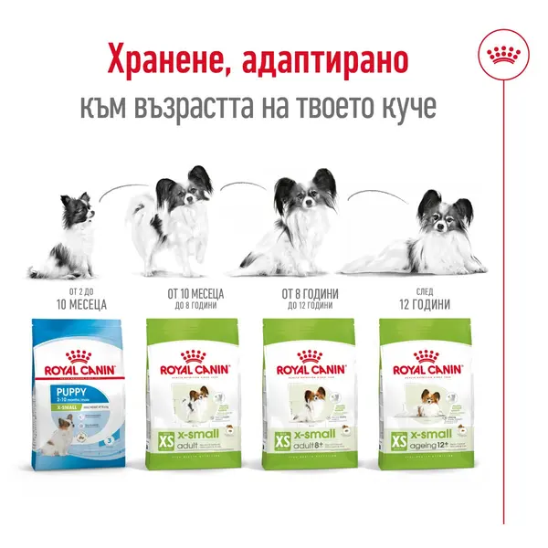 Royal Canin X-Small Adult - Пълноценна храна за кучета в зряла възраст от много дребни породи (тегло до 4 кг) - над 10 месеца