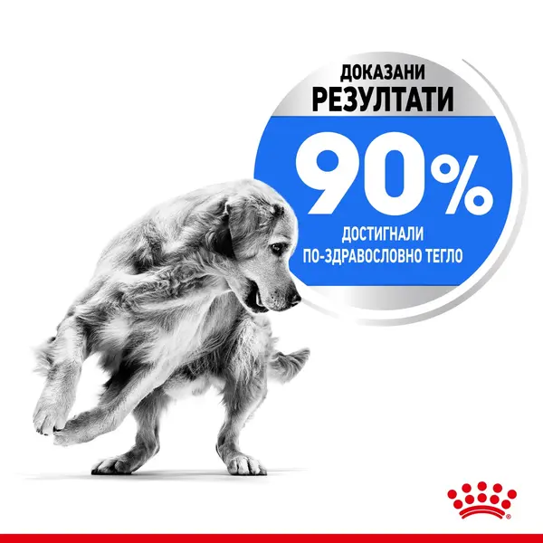 ROYAL CANIN® MAXI LIGHT WEIGHT CARE - суха храна за кучета в зряла възраст от едри породи над 15 месеца предразположени към наддаване на тегло