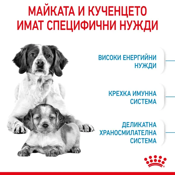 ROYAL CANIN® MEDIUM STARTER MOTHER&BABYDOG - суха храна за бременни, кърмещи, подрастващи кучета