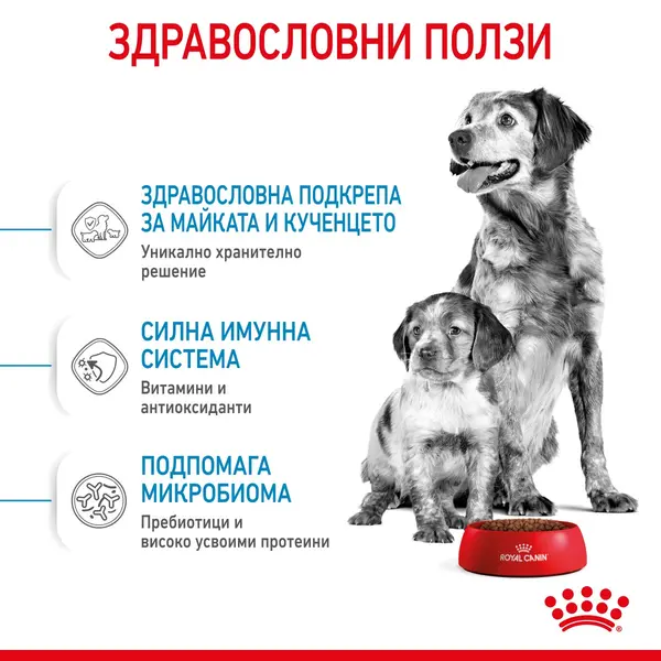 ROYAL CANIN® MEDIUM STARTER MOTHER&BABYDOG - суха храна за бременни, кърмещи, подрастващи кучета