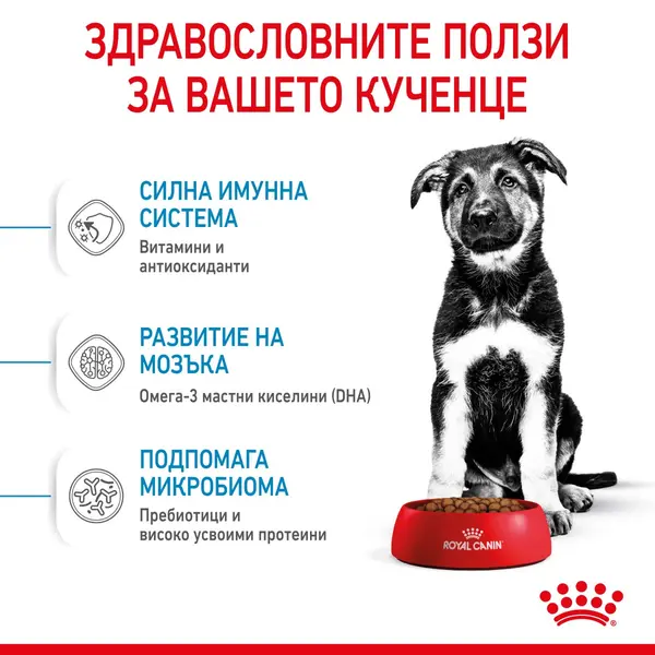 Royal Canin Maxi Puppy - суха храна за подрастващи кучета от едри породи