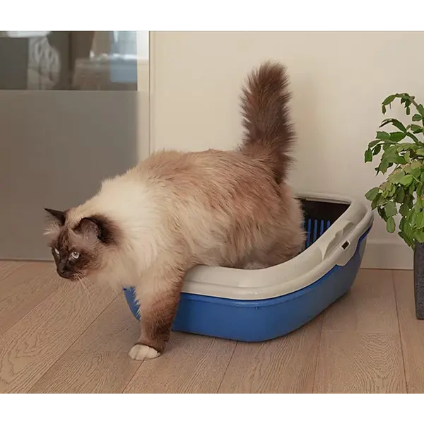 Ferplast Birba - Котешка тоалетна със сито - Синя