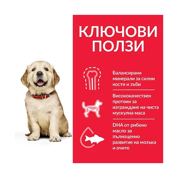 Hill's Science Plan Canine Puppy Large Breed Chicken суха храна за кученца едри породи с пиле - 16 кг.