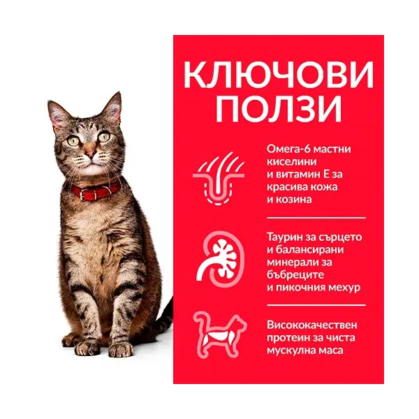 Hill's Science Plan Feline Adult Lamb - суха храна за котки от 1 до 7 год. с агнешко - 1.5 kg