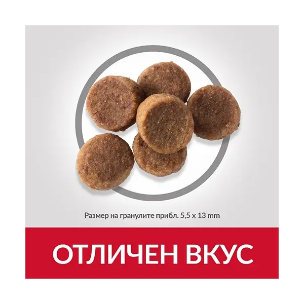Hill's Science Plan Canine Puppy Large Breed Chicken суха храна за кученца едри породи с пиле - 16 кг.