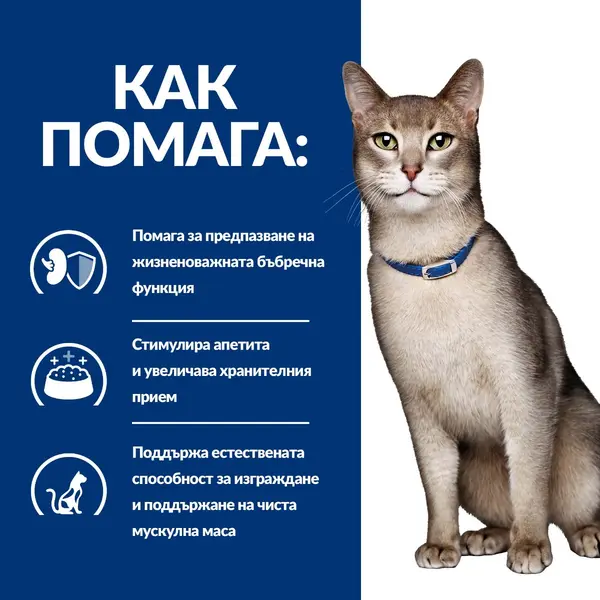 Hill's PRESCRIPTION DIET k/d Kidney Care pouch - лечебна мокра храна за котки с бъбречна недостатъчност, пауч с телешко - 12 бр x  85 г