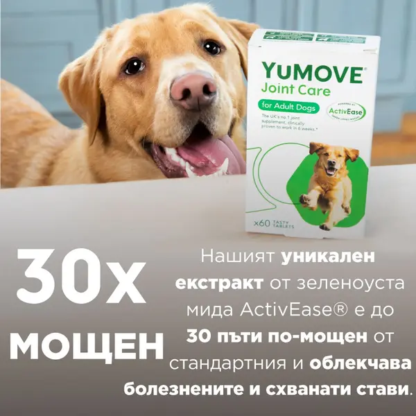 Lintbells YuMOVE Joint Care for Adult Dogs – овкусени таблетки за стави с екстракт от зеленоуста мида, за кучета - 60 таб.