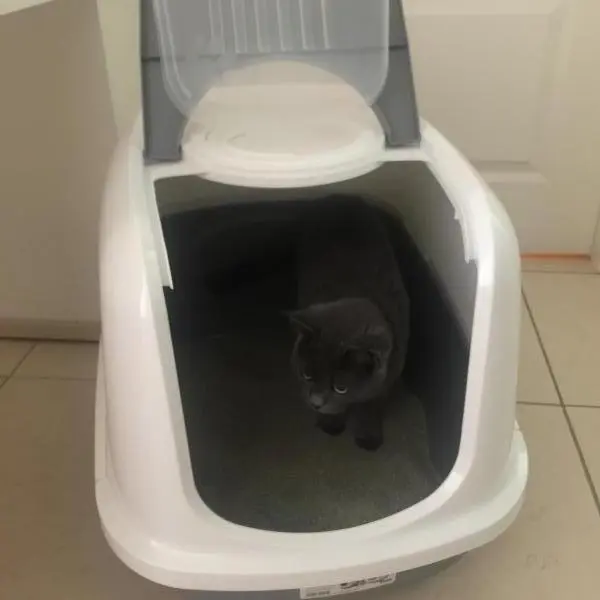 Закрита котешка тоалетна Savic Nestor JUMBO XL