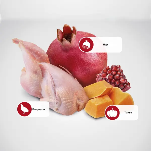N&D Cat Pumpkin Quail & Pomegranate - суха храна за котки с пъдпъдък, тиква и нар