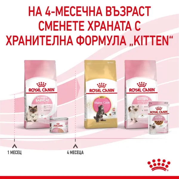 ROYAL CANIN BABYCAT - мокра храна за коте при отбиване 195 гр.
