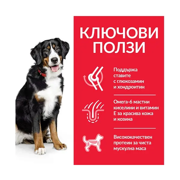 Hill's Science Plan Canine Adult Large Breed Chicken - кучета от едри породи с пиле - 18 кг