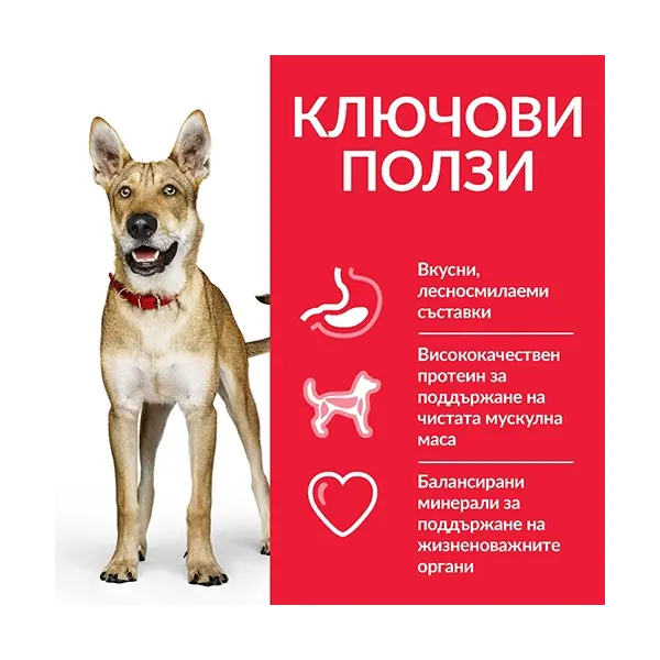 Hill's Science Plan Canine Adult Performance Chicken - високоенергийна храна за кучета от едри породи - 14 кг