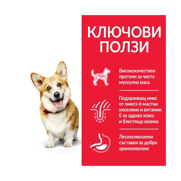 Hill's Science Plan Canine Adult Small & Mini Chicken - храна за кучета от малките породи с пиле - 6 кг