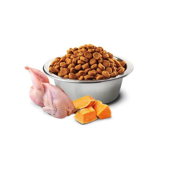 N&D Cat Quinoa Urinary - суха храна за котки с с патица, киноа, червена боровинка и лайка