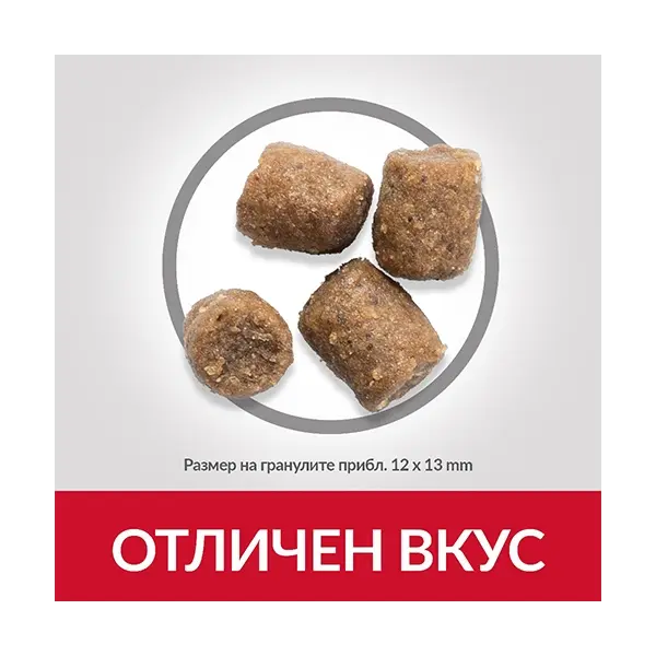 Hill's Science Plan Canine Adult Performance Chicken - високоенергийна храна за кучета от едри породи - 14 кг