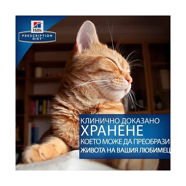 Hill's Prescription Diet k/d Kidney Care  - лечебна храна за котки, консерва 156 гр