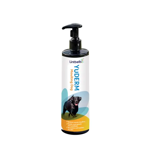 Lintbells YuDerm Moulting Dog 500 мл. - хранителна добавка за здрава кожа и козина