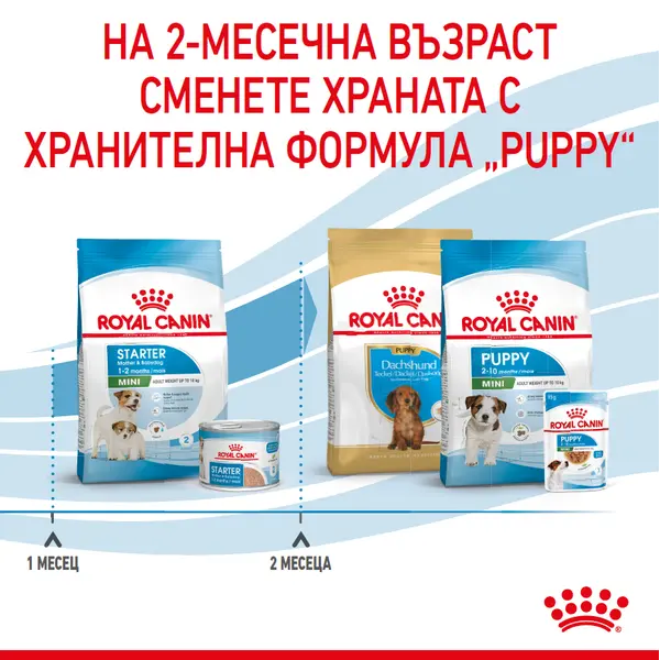 ROYAL CANIN® MINI STARTER MOTHER & BABYDOG - суха храна за подрастващи кучета
