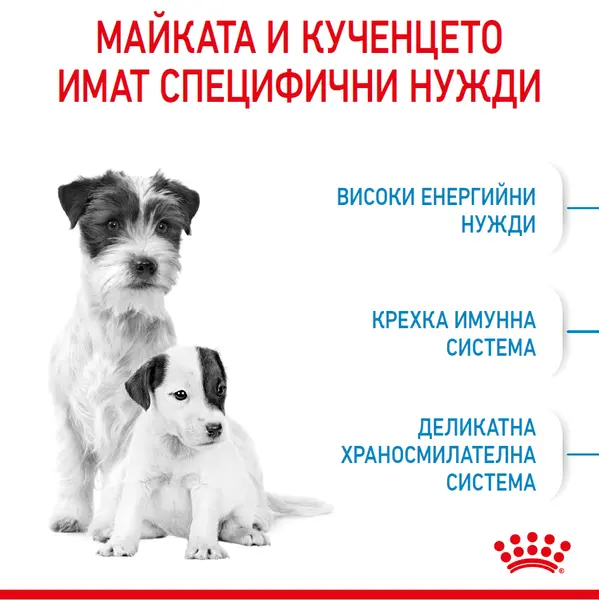 ROYAL CANIN® MINI STARTER MOTHER & BABYDOG - суха храна за подрастващи кучета
