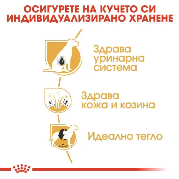 Royal Canin Bichon Frise - за кучета порода болонка на възраст над 12 месеца - 1.5 кг