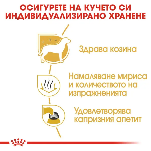 Royal Canin Maltese Adult - за кучета порода малтийски бишон на възраст над 10 месеца - 1.5 кг