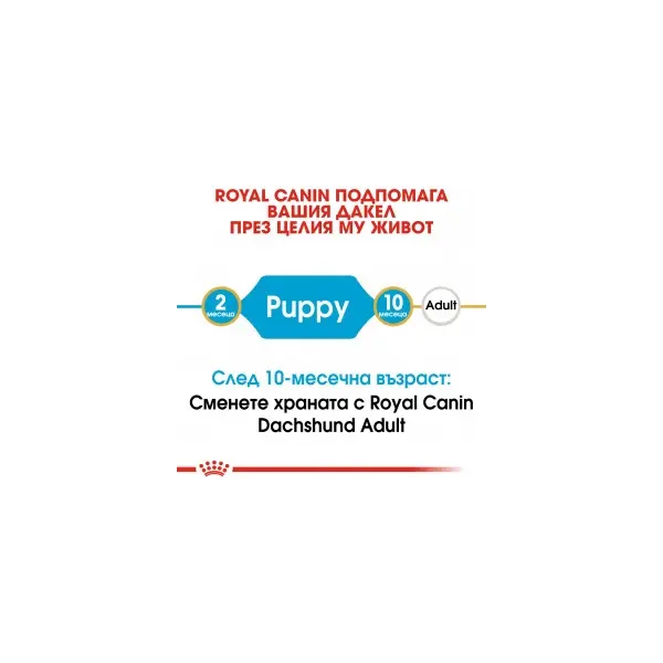 Royal Canin Dachshund Puppy - за подрастващи кучета порода дакел от 2 до 10 месечна възраст - 1.5 kg
