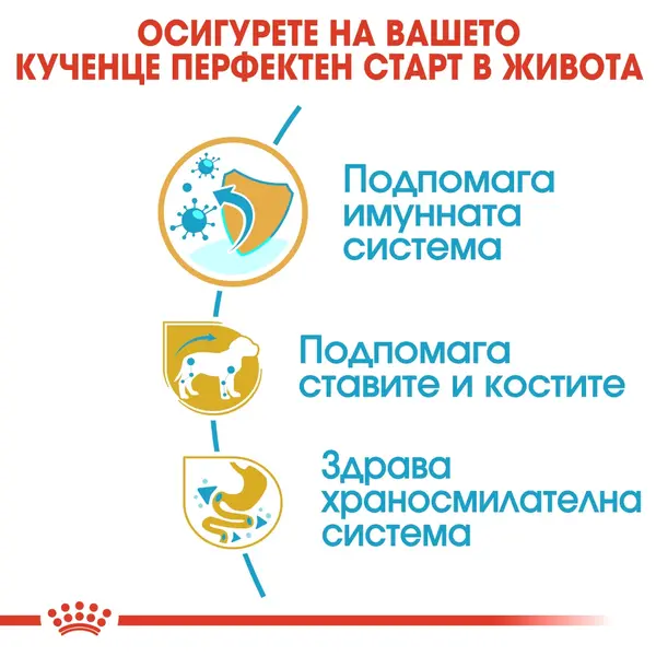 Royal Canin Dachshund Puppy - за подрастващи кучета порода дакел от 2 до 10 месечна възраст - 1.5 kg