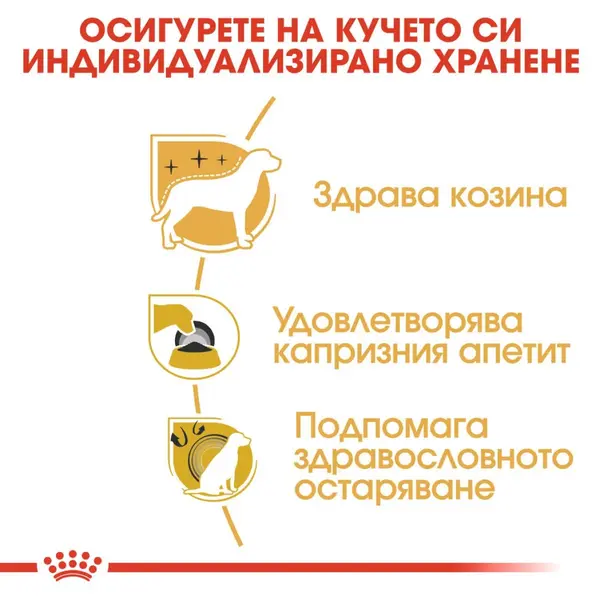 Royal Canin Yorkshire Terrier Adult - за кучета порода йоркширски териер на възраст над 10 месеца