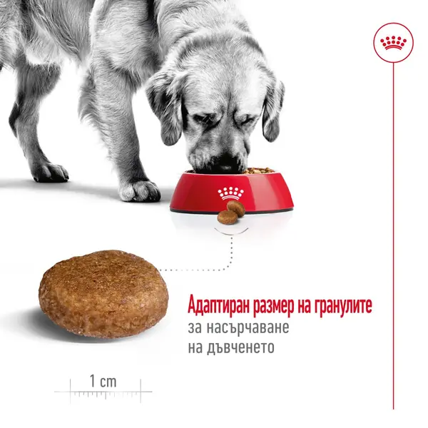 Royal Canin Maxi Adult  5+ - Пълноценна храна за кучета в напреднала възраст от едри породи (от 26 до 44кг) – над 5 години - 15 кг