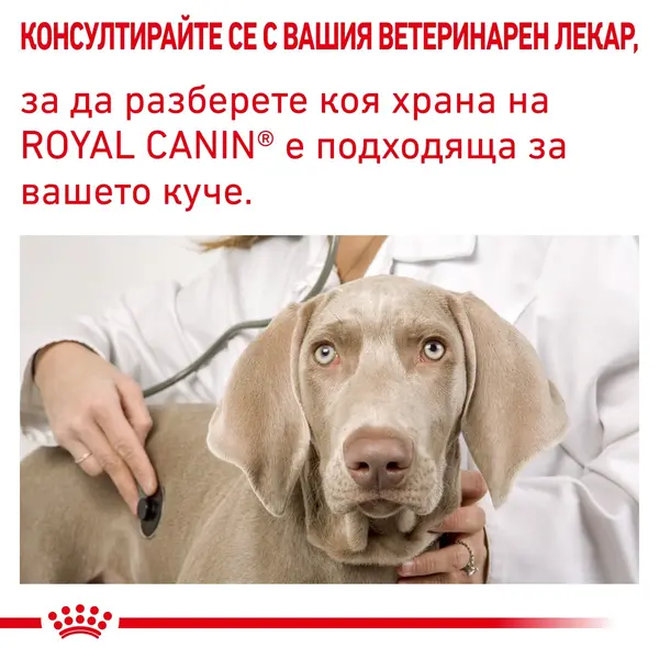 ROYAL CANIN® CALM SMALL DOG - Пълноценна диетична храна за кучета в зряла възраст за подпомагане при стресови ситуации