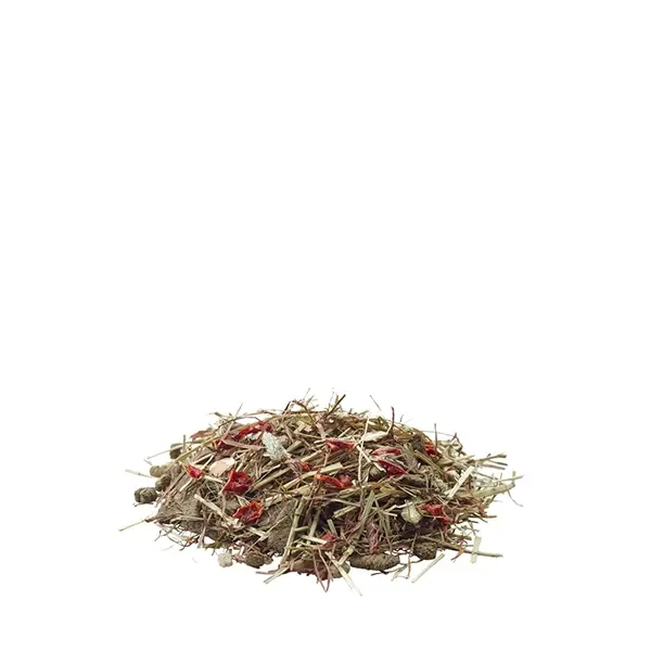 Versele-Laga Fibrefood Chinchilla Nature - храна с фибри за чинчили