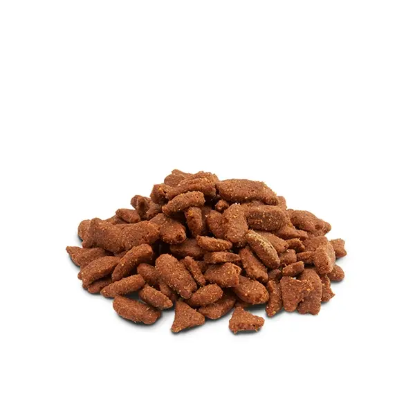 Versele-Laga Crispy Pellets Ferrets - гранулирана храна за порчета - 700гр