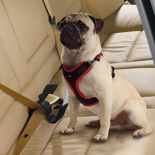 Еластичен колан за кучета за кола Dog Travel Belt