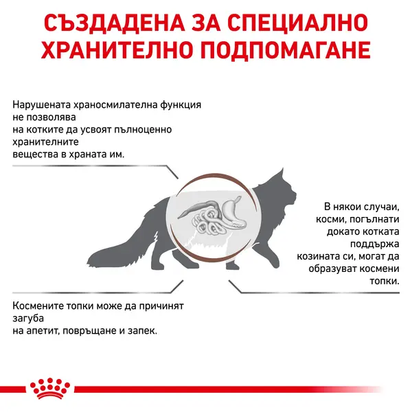 Royal Canin Gastrointestinal Hairball Cat 2 кг - суха храна за котки с предразположеност към образуване на космени топки