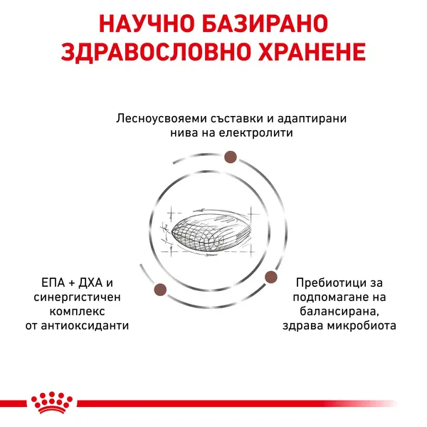 Royal Canin Gastrointestinal Hairball Cat 2 кг - суха храна за котки с предразположеност към образуване на космени топки