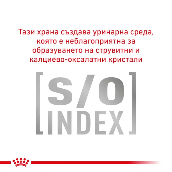 Royal Canin Gastrointestinal Hairball Cat 2 кг - суха храна за котки с предразположеност към образуване на космени топки
