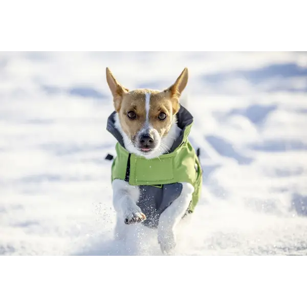 Kerbl Dog Coat Vancouver - яке за кучета, зелено със сиво