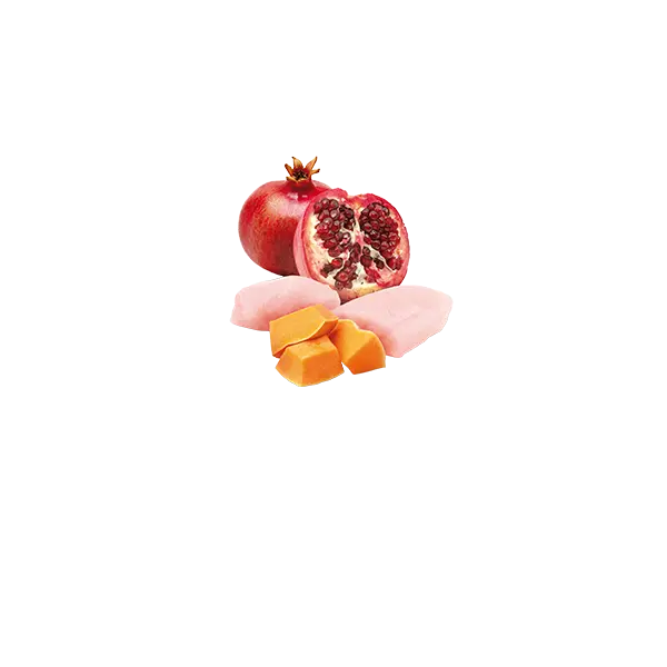 N&D DOG CHICKEN &PUMPKIN& POMEGRANATE 285 гр – за кучета над 1 година, с пиле, тиква и нар
