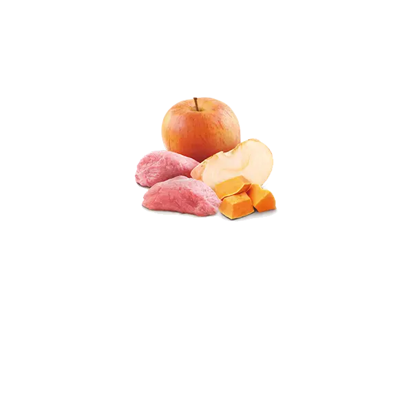 N&D DOG BOAR &PUMPKIN& APPLE 285 гр – за кучета над 1 година, с глиган, тиква и ябълка