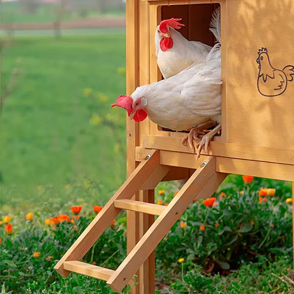 Ferplast HEN HOUSE 30 - дървена къща за дворни птици