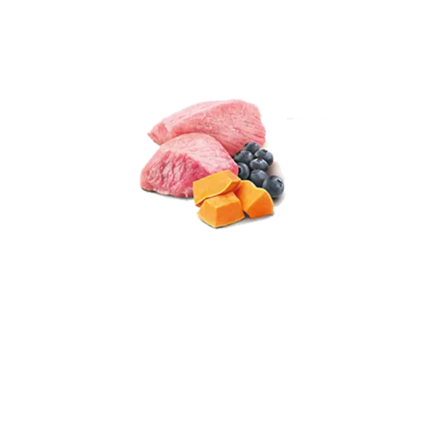 N&D DOG LAMB &PUMPKIN& BLUEBERRY 285 гр – за кучета над 1 година, с агне, тиква и боровинки